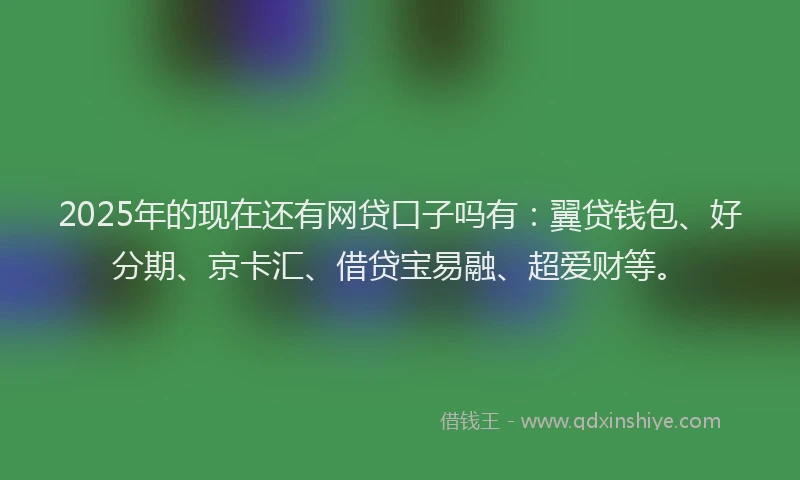 2025年的现在还有网贷口子吗有：翼贷钱包、好分期、京卡汇、借贷宝易融、超爱财等。