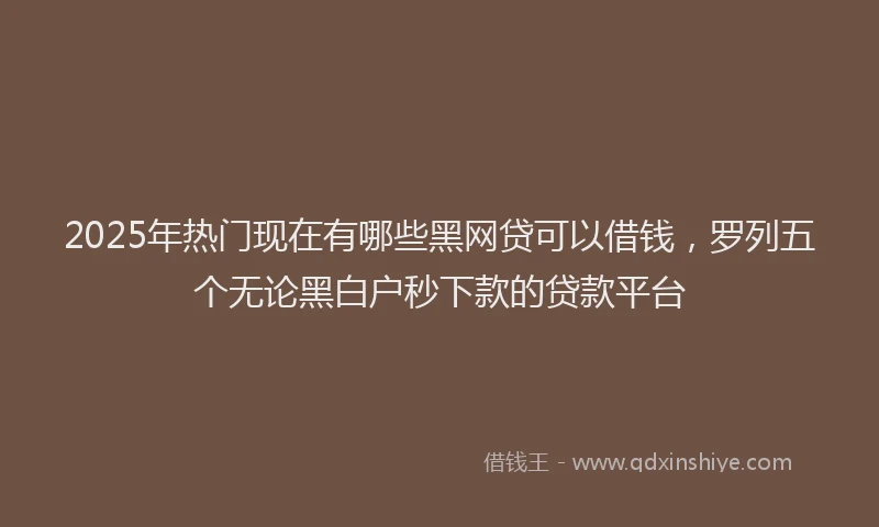 2025年热门现在有哪些黑网贷可以借钱，罗列五个无论黑白户秒下款的贷款平台