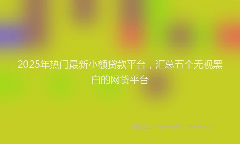 2025年热门最新小额贷款平台，汇总五个无视黑白的网贷平台