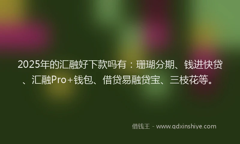 2025年的汇融好下款吗有：珊瑚分期、钱进快贷、汇融Pro+钱包、借贷易融贷宝、三枝花等。