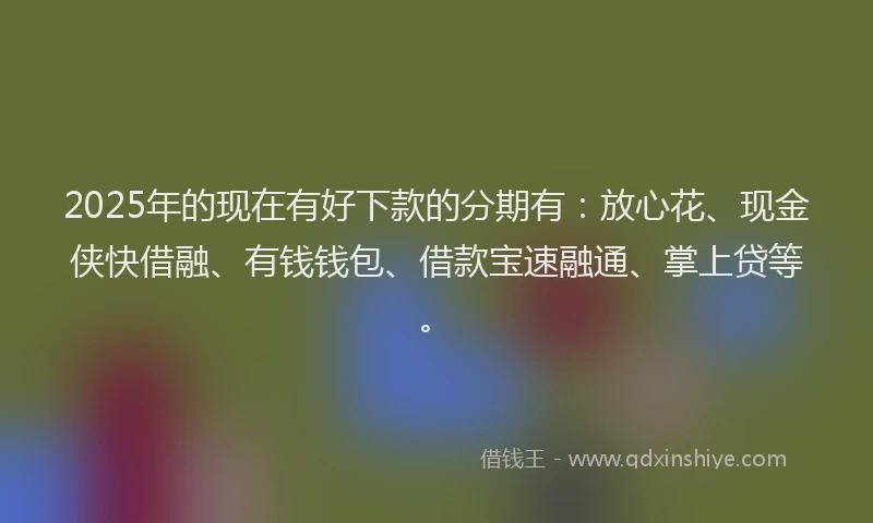 2025年的现在有好下款的分期有：放心花、现金侠快借融、有钱钱包、借款宝速融通、掌上贷等。