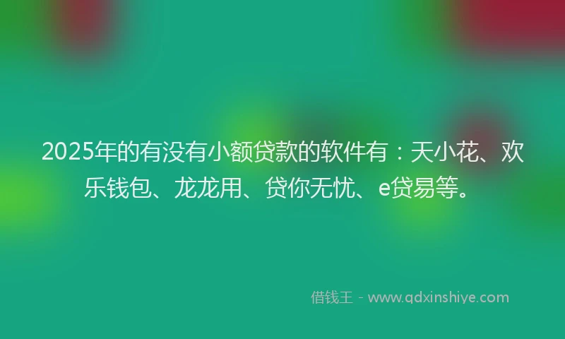 2025年的有没有小额贷款的软件有：天小花、欢乐钱包、龙龙用、贷你无忧、e贷易等。
