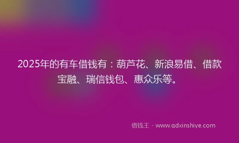 2025年的有车借钱有：葫芦花、新浪易借、借款宝融、瑞信钱包、惠众乐等。