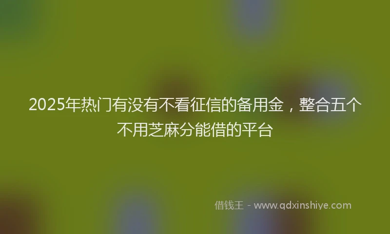 2025年热门有没有不看征信的备用金，整合五个不用芝麻分能借的平台