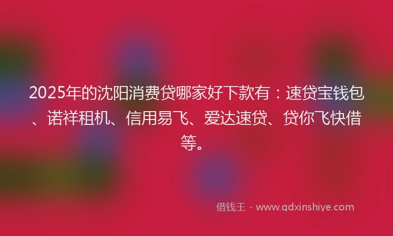 2025年的沈阳消费贷哪家好下款有：速贷宝钱包、诺祥租机、信用易飞、爱达速贷、贷你飞快借等。
