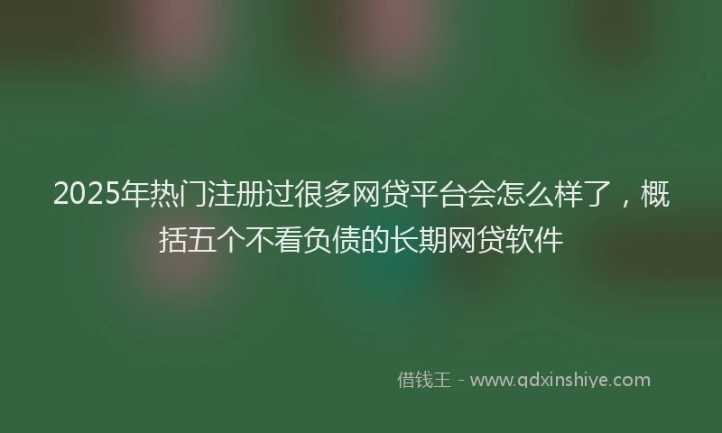 2025年热门注册过很多网贷平台会怎么样了，概括五个不看负债的长期网贷软件