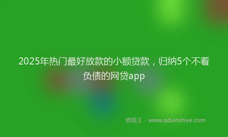 2025年热门最好放款的小额贷款，归纳5个不看负债的网贷app