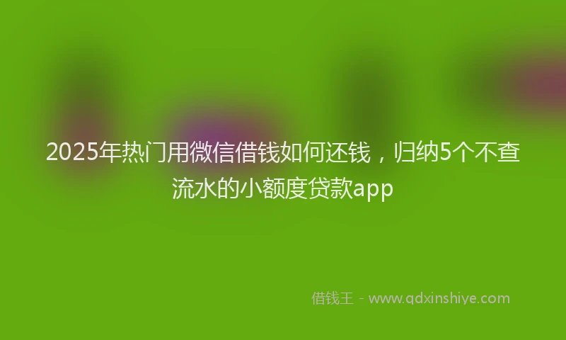 2025年热门用微信借钱如何还钱，归纳5个不查流水的小额度贷款app