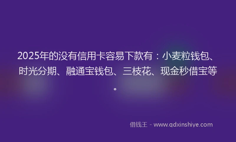 2025年的没有信用卡容易下款有：小麦粒钱包、时光分期、融通宝钱包、三枝花、现金秒借宝等。