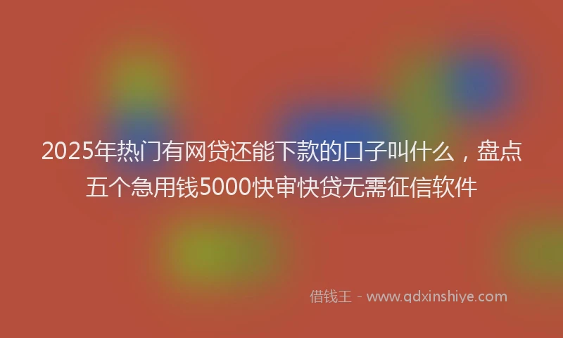 2025年热门有网贷还能下款的口子叫什么，盘点五个急用钱5000快审快贷无需征信软件
