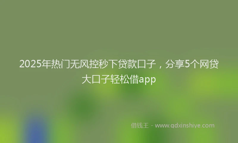 2025年热门无风控秒下贷款口子，分享5个网贷大口子轻松借app