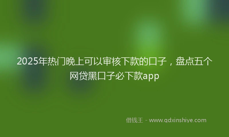 2025年热门晚上可以审核下款的口子，盘点五个网贷黑口子必下款app