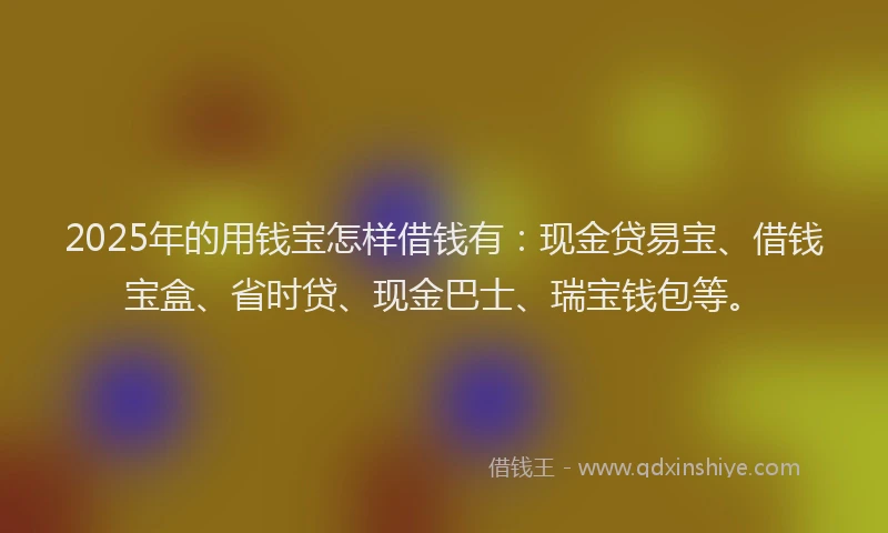 2025年的用钱宝怎样借钱有：现金贷易宝、借钱宝盒、省时贷、现金巴士、瑞宝钱包等。