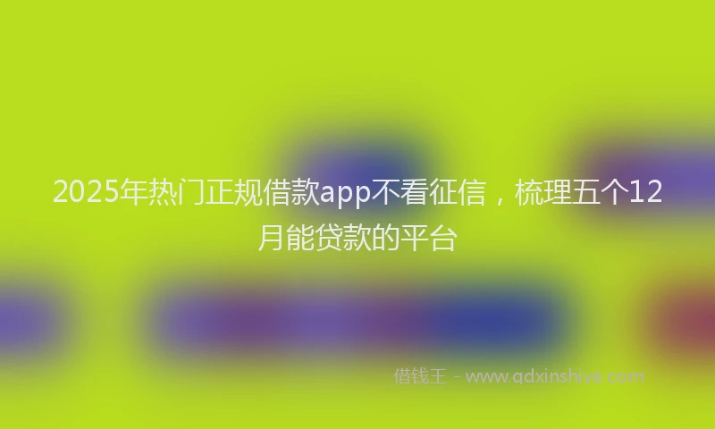2025年热门正规借款app不看征信，梳理五个12月能贷款的平台