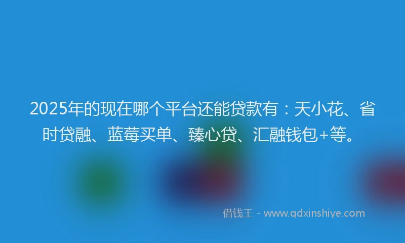 2025年的现在哪个平台还能贷款有：天小花、省时贷融、蓝莓买单、臻心贷、汇融钱包+等。