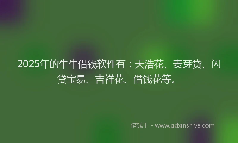 2025年的牛牛借钱软件有：天浩花、麦芽贷、闪贷宝易、吉祥花、借钱花等。