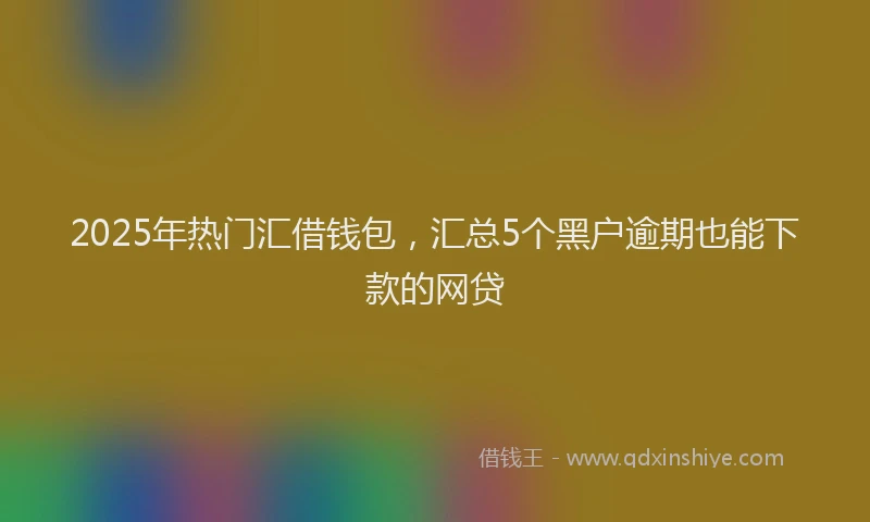2025年热门汇借钱包，汇总5个黑户逾期也能下款的网贷