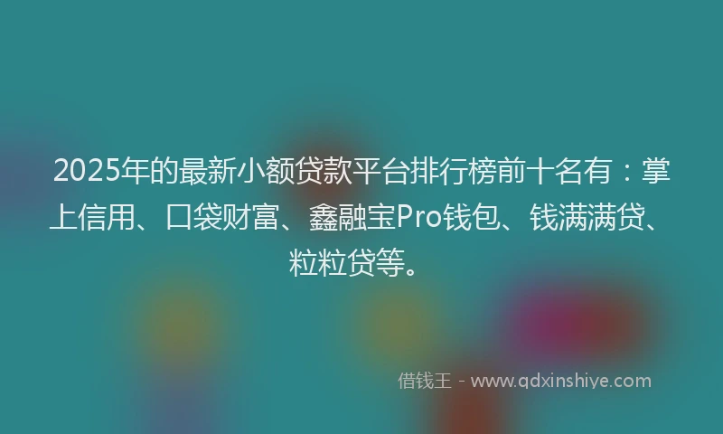 2025年的最新小额贷款平台排行榜前十名有：掌上信用、口袋财富、鑫融宝Pro钱包、钱满满贷、粒粒贷等。