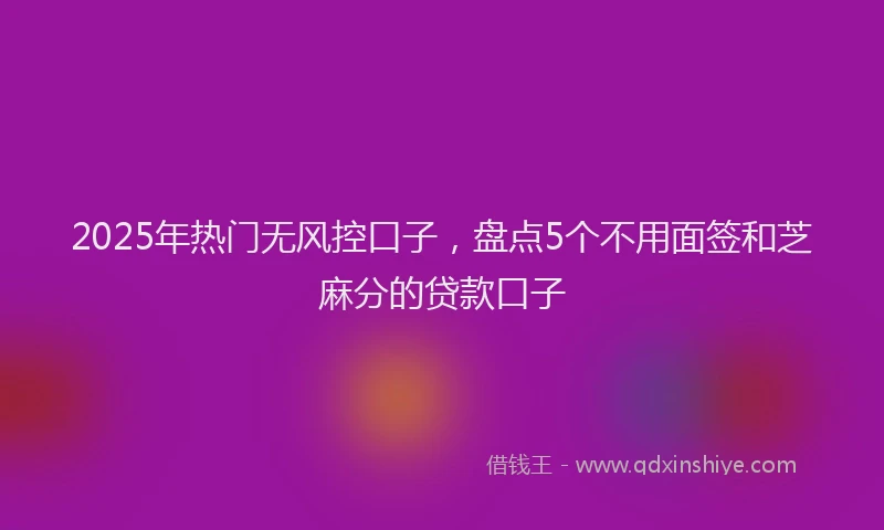 2025年热门无风控口子，盘点5个不用面签和芝麻分的贷款口子