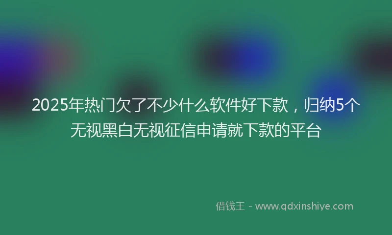 2025年热门欠了不少什么软件好下款，归纳5个无视黑白无视征信申请就下款的平台