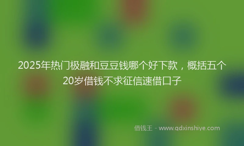 2025年热门极融和豆豆钱哪个好下款，概括五个20岁借钱不求征信速借口子
