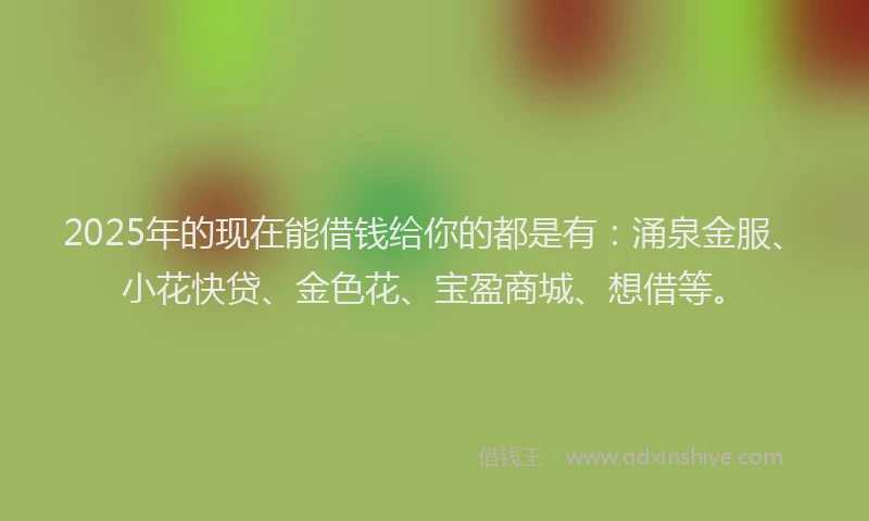 2025年的现在能借钱给你的都是有：涌泉金服、小花快贷、金色花、宝盈商城、想借等。
