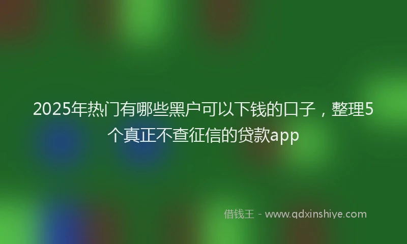2025年热门有哪些黑户可以下钱的口子，整理5个真正不查征信的贷款app