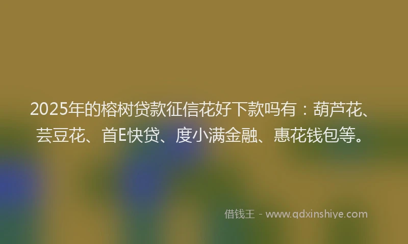 2025年的榕树贷款征信花好下款吗有：葫芦花、芸豆花、首E快贷、度小满金融、惠花钱包等。