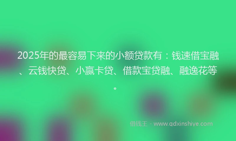 2025年的最容易下来的小额贷款有：钱速借宝融、云钱快贷、小赢卡贷、借款宝贷融、融逸花等。