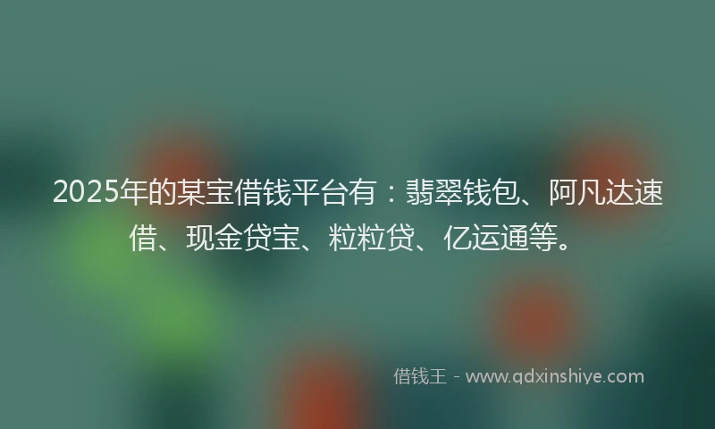 2025年的某宝借钱平台有：翡翠钱包、阿凡达速借、现金贷宝、粒粒贷、亿运通等。