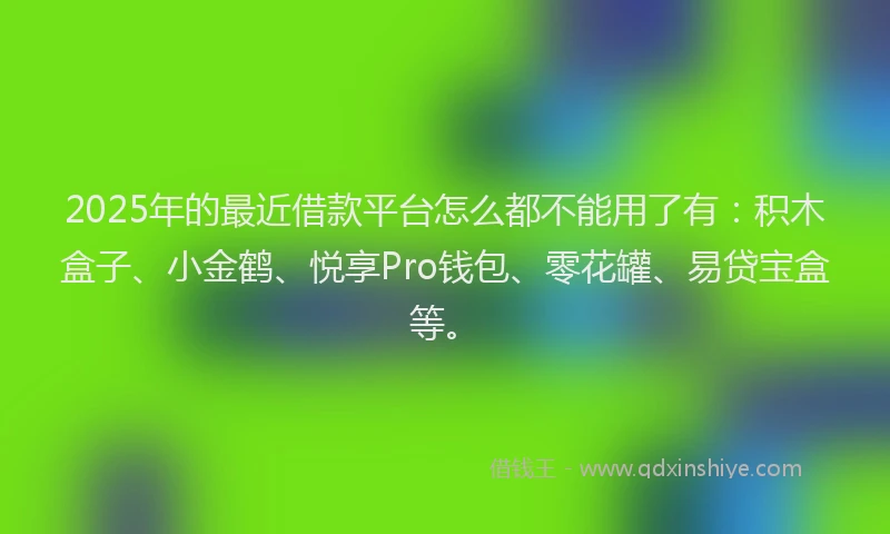 2025年的最近借款平台怎么都不能用了有：积木盒子、小金鹤、悦享Pro钱包、零花罐、易贷宝盒等。