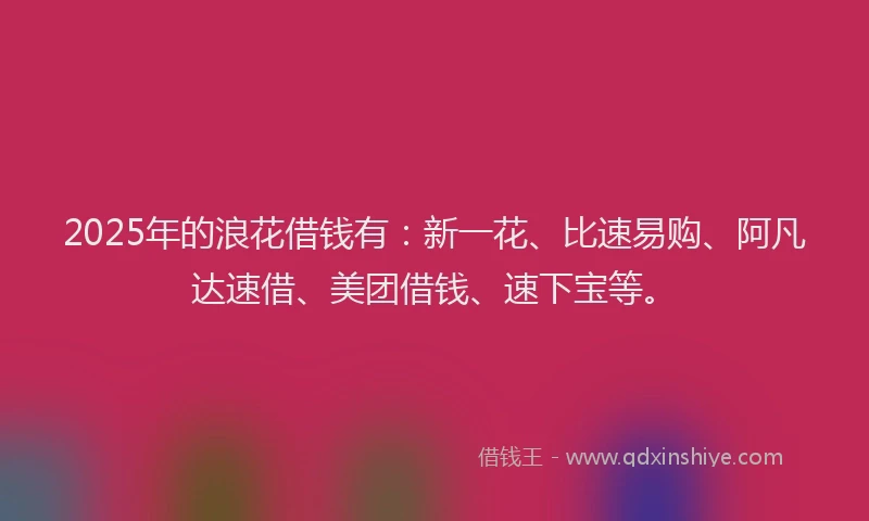 2025年的浪花借钱有：新一花、比速易购、阿凡达速借、美团借钱、速下宝等。