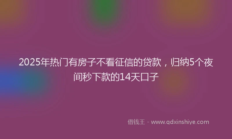 2025年热门有房子不看征信的贷款，归纳5个夜间秒下款的14天口子
