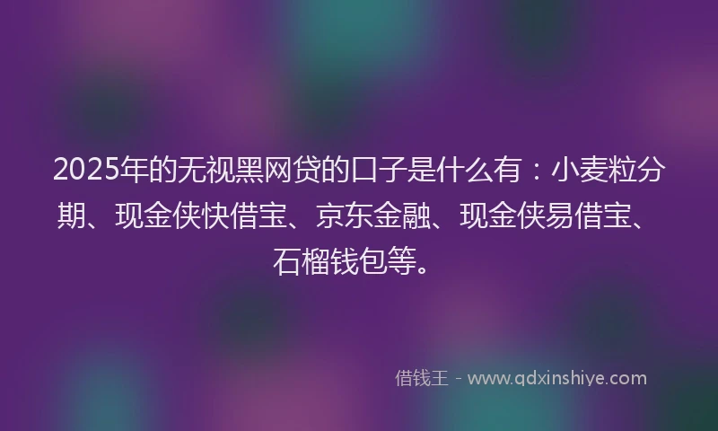 2025年的无视黑网贷的口子是什么有：小麦粒分期、现金侠快借宝、京东金融、现金侠易借宝、石榴钱包等。