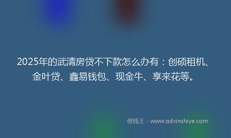 2025年的武清房贷不下款怎么办有：创硕租机、金叶贷、鑫易钱包、现金牛、享来花等。