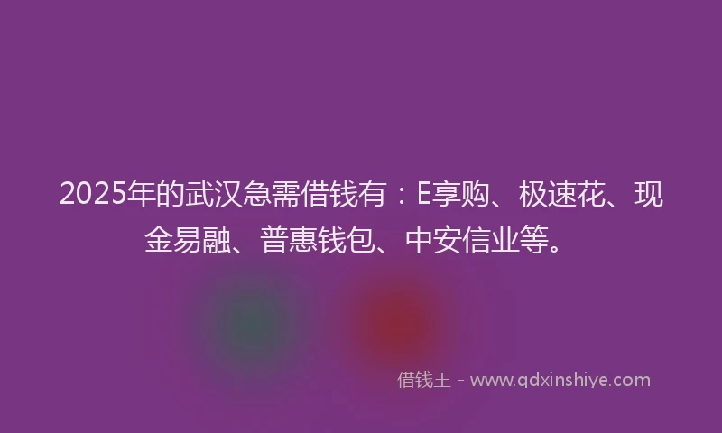 2025年的武汉急需借钱有：E享购、极速花、现金易融、普惠钱包、中安信业等。