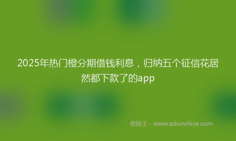2025年热门橙分期借钱利息，归纳五个征信花居然都下款了的app