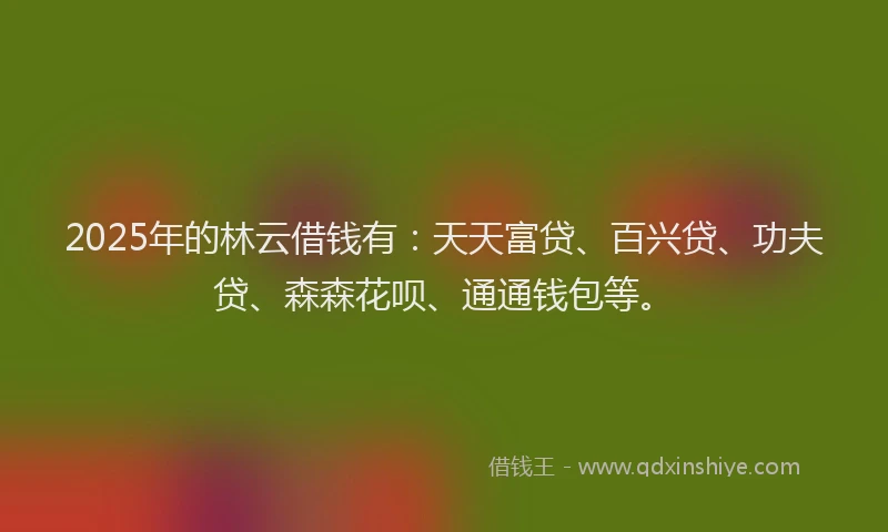 2025年的林云借钱有：天天富贷、百兴贷、功夫贷、森森花呗、通通钱包等。