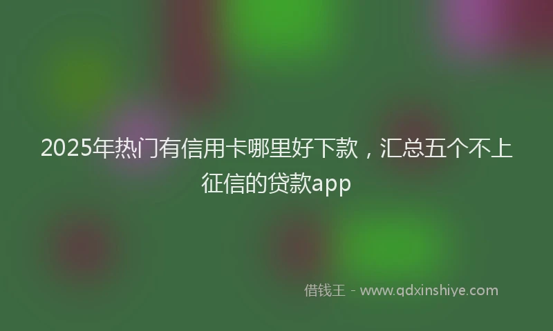 2025年热门有信用卡哪里好下款，汇总五个不上征信的贷款app