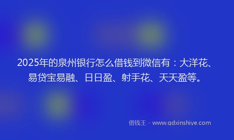 2025年的泉州银行怎么借钱到微信有：大洋花、易贷宝易融、日日盈、射手花、天天盈等。
