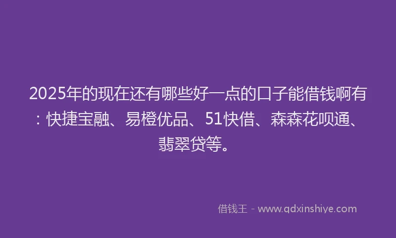 2025年的现在还有哪些好一点的口子能借钱啊有：快捷宝融、易橙优品、51快借、森森花呗通、翡翠贷等。