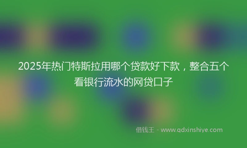 2025年热门特斯拉用哪个贷款好下款，整合五个看银行流水的网贷口子