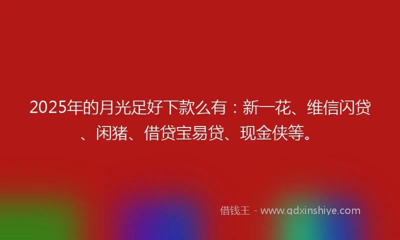 2025年的月光足好下款么有：新一花、维信闪贷、闲猪、借贷宝易贷、现金侠等。