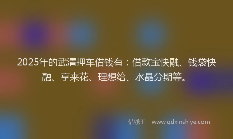 2025年的武清押车借钱有：借款宝快融、钱袋快融、享来花、理想给、水晶分期等。