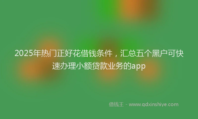 2025年热门正好花借钱条件，汇总五个黑户可快速办理小额贷款业务的app