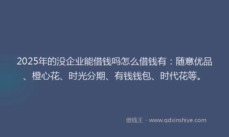 2025年的没企业能借钱吗怎么借钱有：随意优品、橙心花、时光分期、有钱钱包、时代花等。