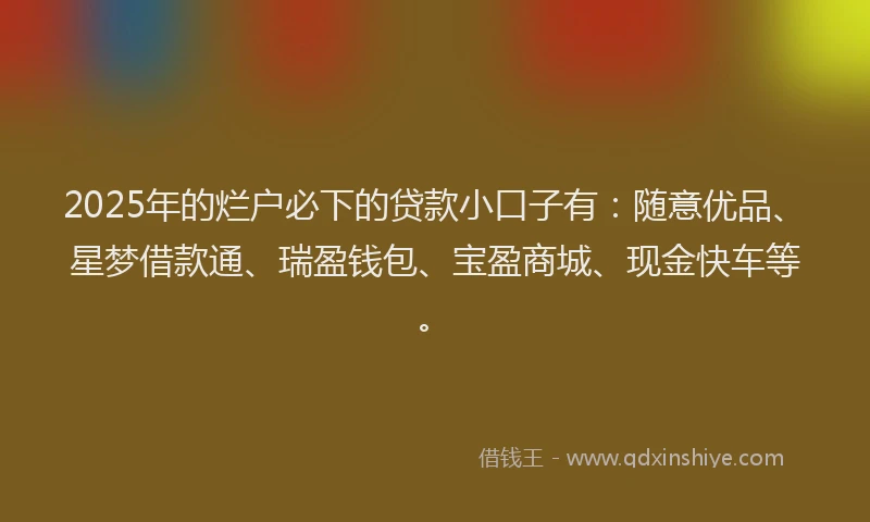 2025年的烂户必下的贷款小口子有：随意优品、星梦借款通、瑞盈钱包、宝盈商城、现金快车等。