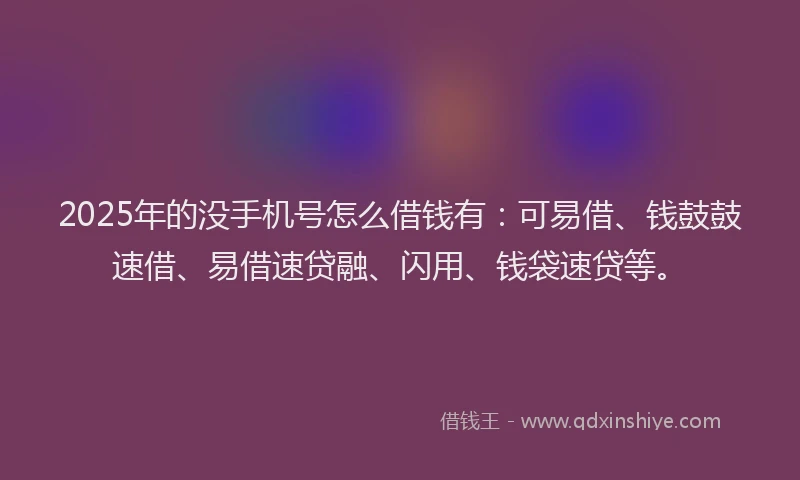 2025年的没手机号怎么借钱有：可易借、钱鼓鼓速借、易借速贷融、闪用、钱袋速贷等。