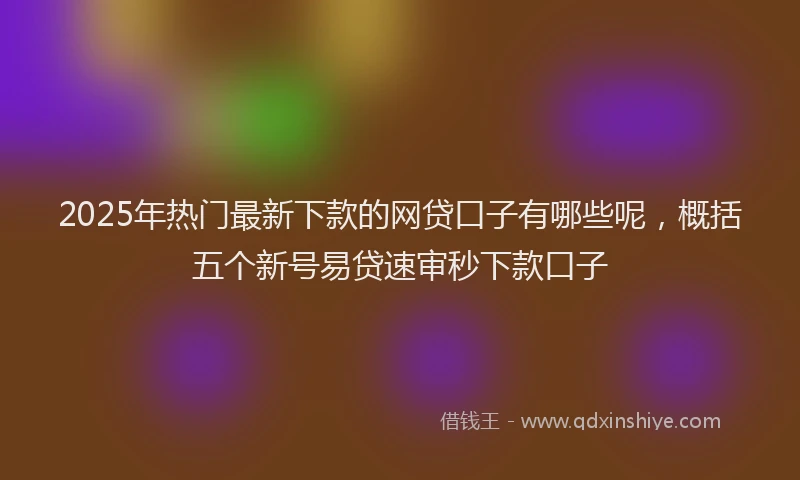 2025年热门最新下款的网贷口子有哪些呢，概括五个新号易贷速审秒下款口子