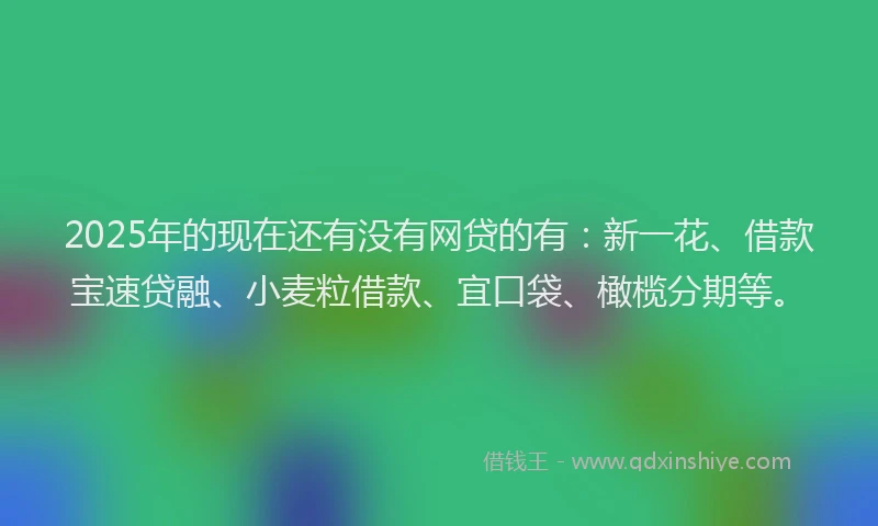 2025年的现在还有没有网贷的有：新一花、借款宝速贷融、小麦粒借款、宜口袋、橄榄分期等。